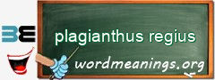 WordMeaning blackboard for plagianthus regius